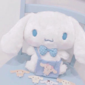 Meet your Posher, Huy